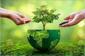 Bioash acidic soil conditioner dolomite malaysia