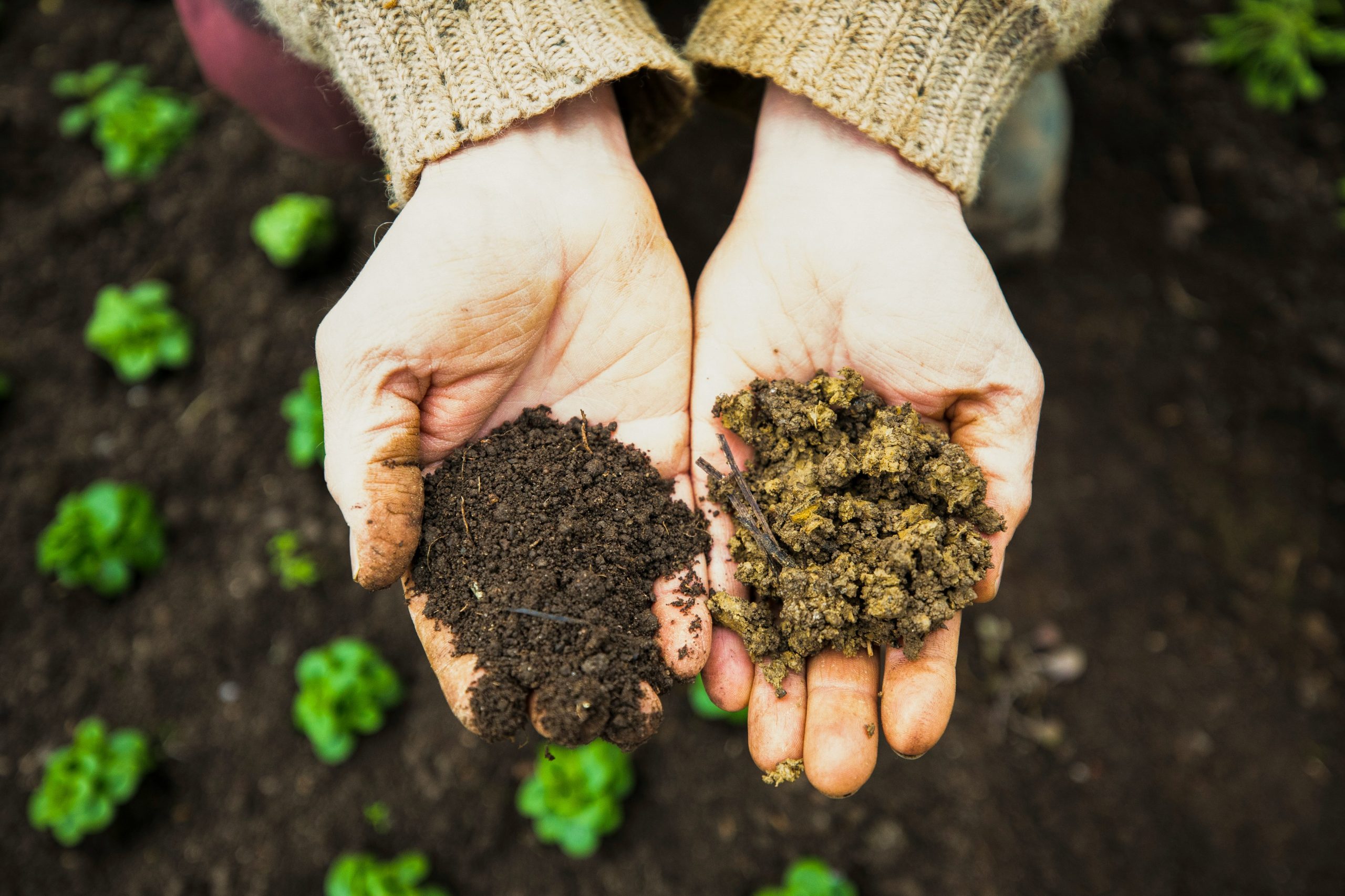 Bioash acidic soil conditioner